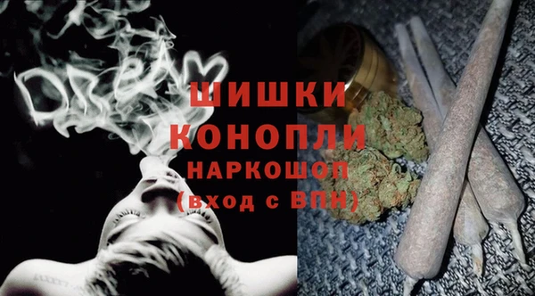 дживик Баксан