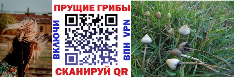 MEGA tor  Усинск  Галлюциногенные грибы Psilocybe  хочу  